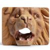 Lion Head Fountain Nozzle Outdoor Garden Water Feature-4