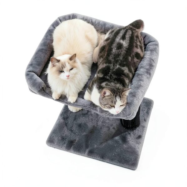 pawfessor Cat Tree Tower Grey 20x15.7in Bed Thick Sisal Post-2